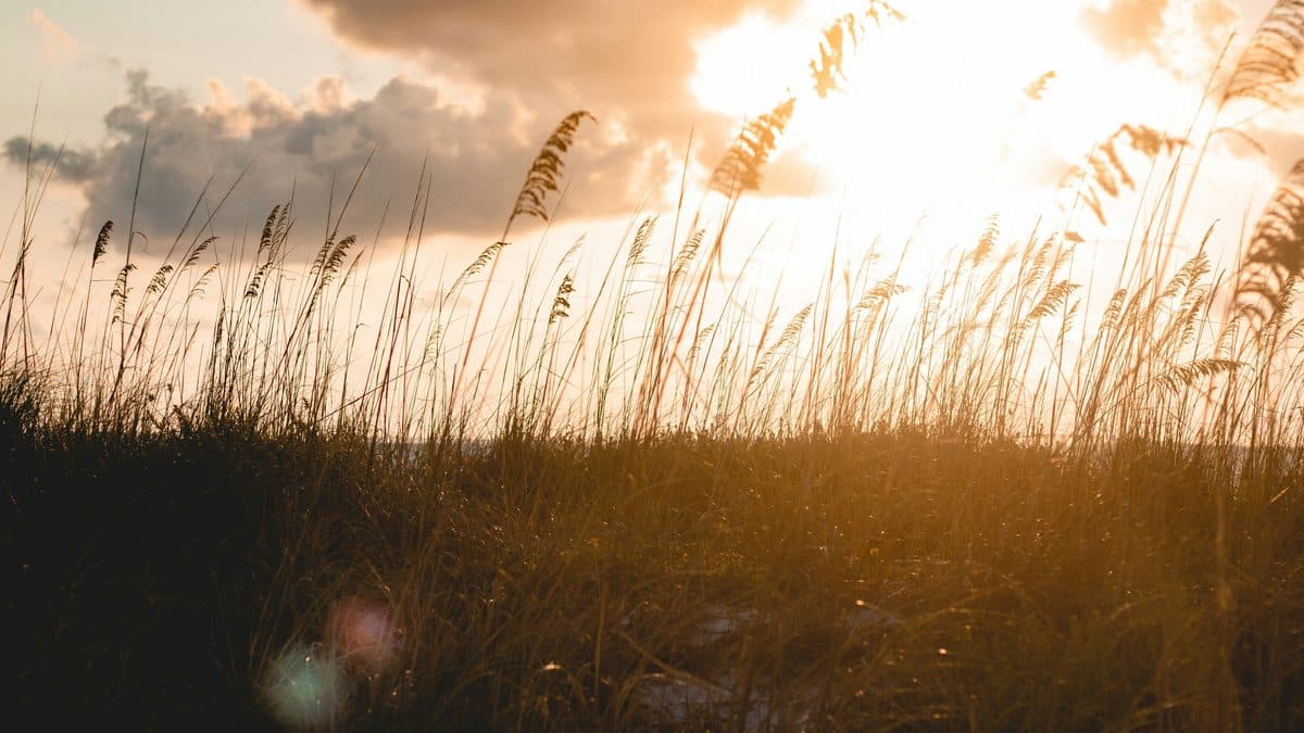 Hormone Replacement Therapy in Florida: Rules, Routes and Risk