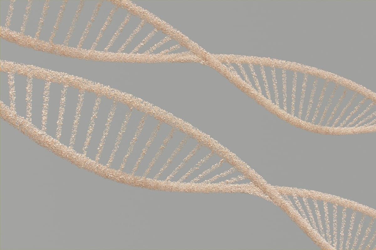 Peptides for Sleep: What the Evidence Shows and Who They Help